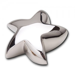 Keepsake Star (Shiny Silver)